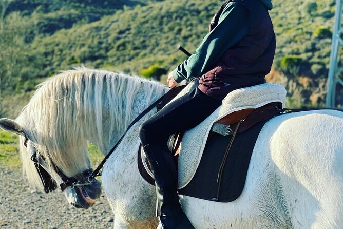 Malaga - guided horseback riding - Riding pace: gentle, scenic, and not a full adventure tour