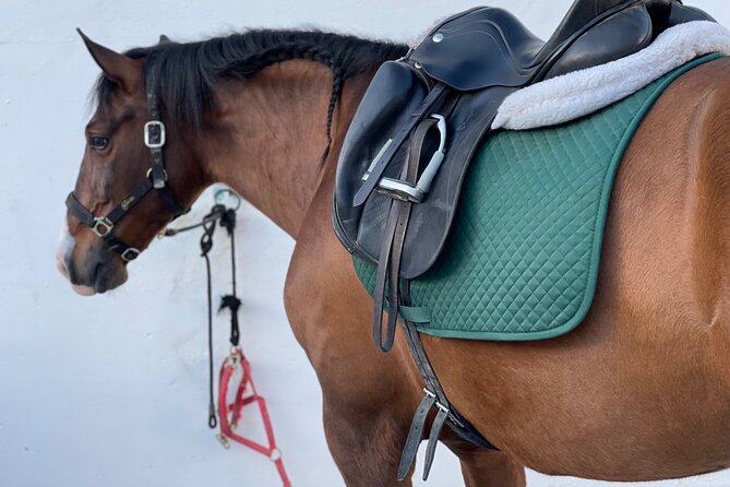 Malaga - guided horseback riding - Guide style and language: friendly, but sometimes not English