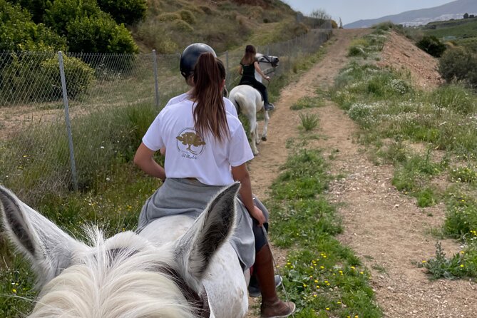 Malaga - guided horseback riding - Private group comfort: better for families and mixed skill levels