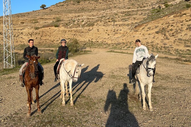 Malaga - guided horseback riding - How they match you with the right horse (even if it’s your first time)