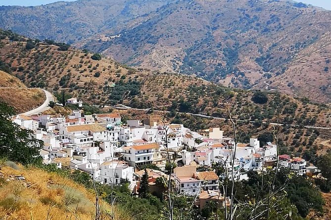 Malaga Highest Peak E-Bike Tour: White Village Olias and El Palo - Bosch-assisted e-biking starts right in central Malaga