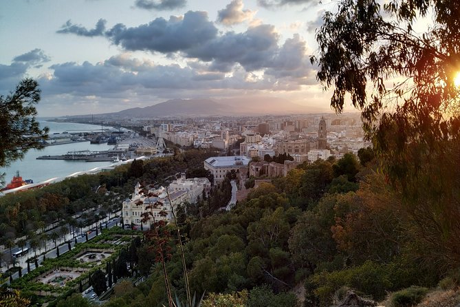 Malaga Highlights, Old Town & Viewpoints Walking Tour - Puerto de Málaga: the renewed port and why it matters