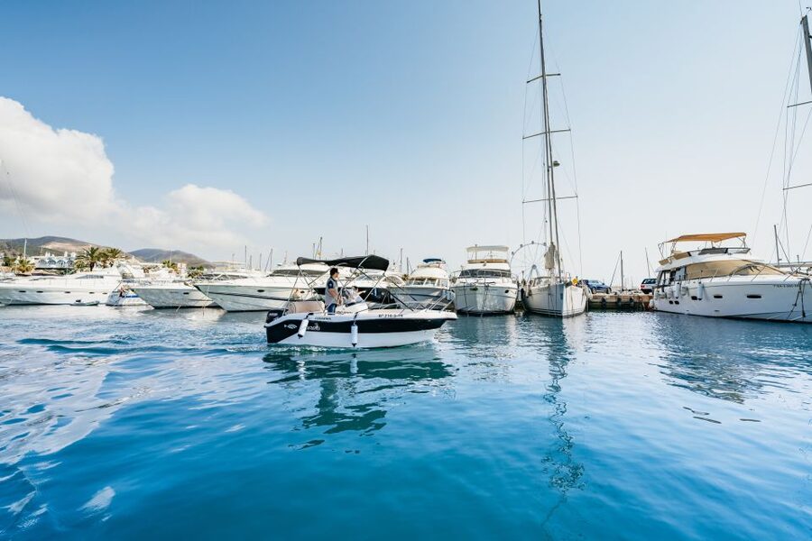 Malaga: License-free Boat Rental for Dolphin Watching - Dolphins and Marine Life: How the Search Time Feels