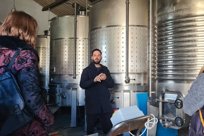 Malaga Organic Vineyard and Winery Six Wines Tapas and Transfer - Stop 3: Bodega Malvajio garage winery, six wines, and a serious food setup
