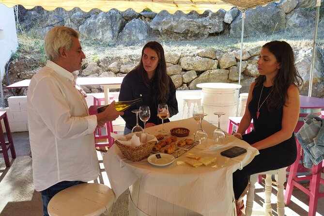 Malaga Organic Vineyard and Winery Six Wines Tapas and Transfer - Timing and pacing: a 4 to 5 hour day that still lets you enjoy Malaga