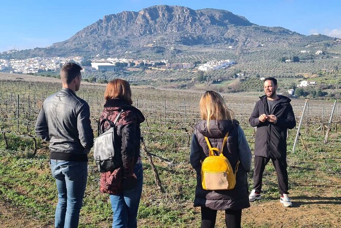 Malaga Organic Vineyard and Winery Six Wines Tapas and Transfer - Value check: what $114.93 includes and why it can be worth it
