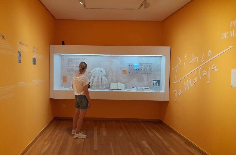 Málaga: Picasso Birthplace Museum Ticket & City Audio Guide - Practical tips that make your day easier
