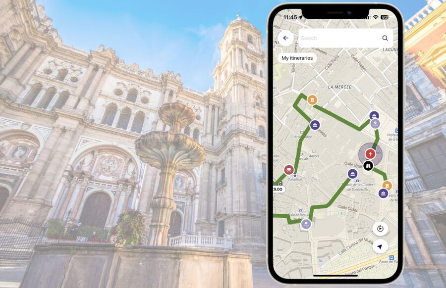 Málaga: Picasso Birthplace Museum Ticket & City Audio Guide - Who this works best for