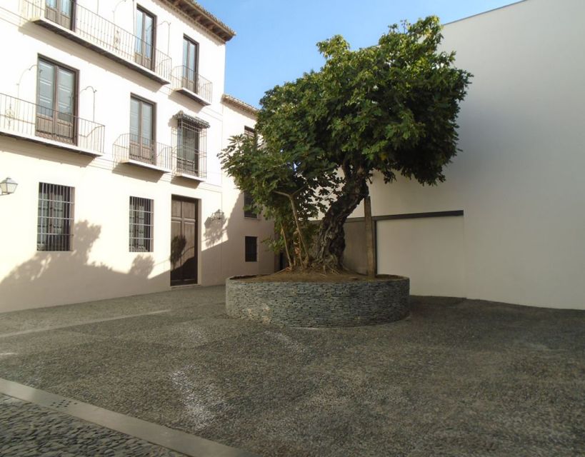 Malaga: Picasso Museum Guided Tour with Skip-the-Line Ticket - Who should book this Picasso tour (and who might not)