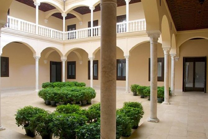 Málaga Picasso Museum Private Guided Tour - Value and Price: Is $204.81 Fair for This Two-Stop Tour?