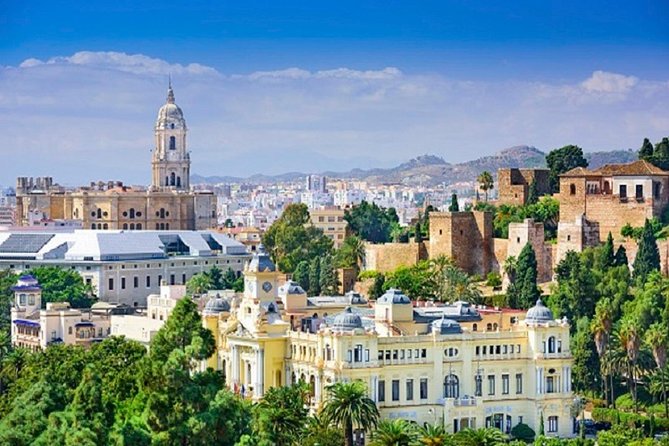 Málaga Picasso Museum Private Guided Tour - Logistics That Actually Matter in Málaga