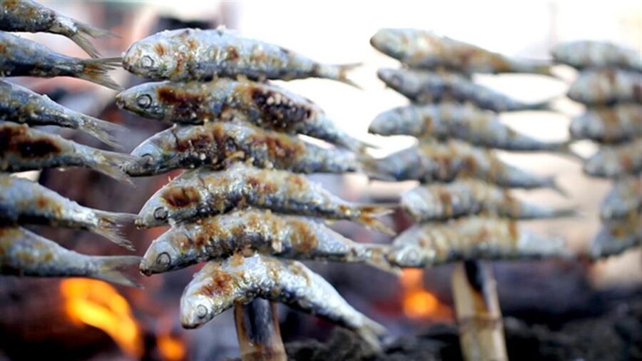 Malaga: PREMIUM TAPAS TOUR Paella, Tapas, Winery & Flamenco - Who this tour fits best in Malaga (and who should skip it)