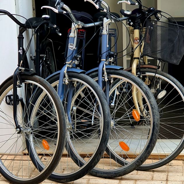 Malaga: Private Bike Rental - How to Plan a 9-Hour Bike Day (Without Feeling Rushed)