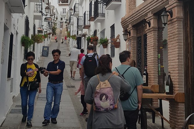 Malaga private Shore Excursion: Malaga Highlights & Mijas White Washed Village - Rain, Walking, and the Real Comfort Stuff You’ll Care About