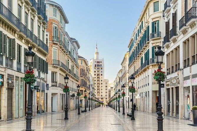 Malaga Private Tour: Alcazaba, Market, Catedral & Picasso - Price and ticket math: does $107.17 per person feel fair?