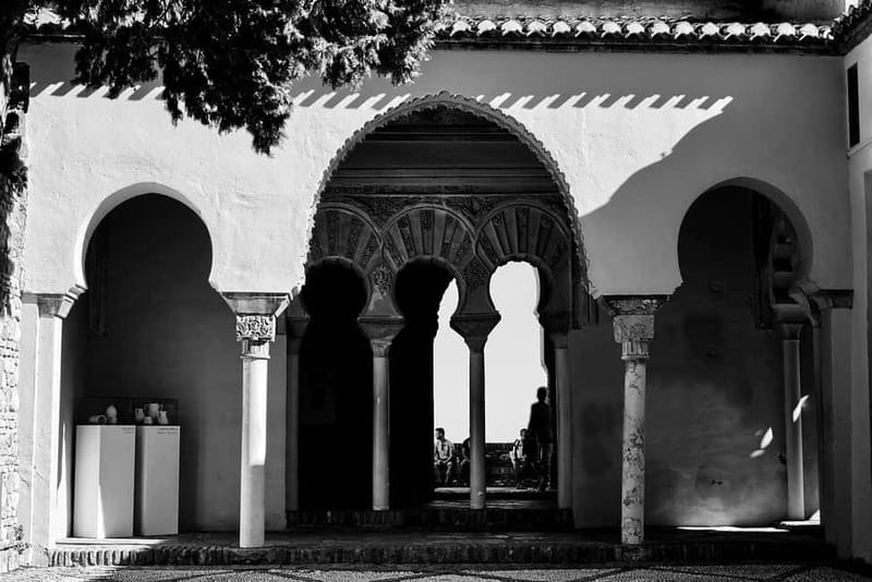 Malaga: Private Walking Tour with Official Guide - Nature-Forward Option: Panoramic Views, Moorish Stories, and Subtropical Plants