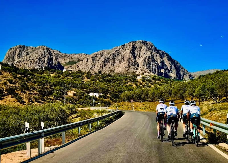 Málaga: Road Bike Tour with Guide and Bike Rental - Key highlights to look for
