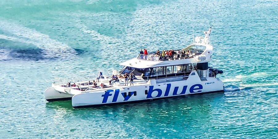 Málaga: Scenic Catamaran Cruise - Booking Advice: How to Get the Best Experience From This Hour