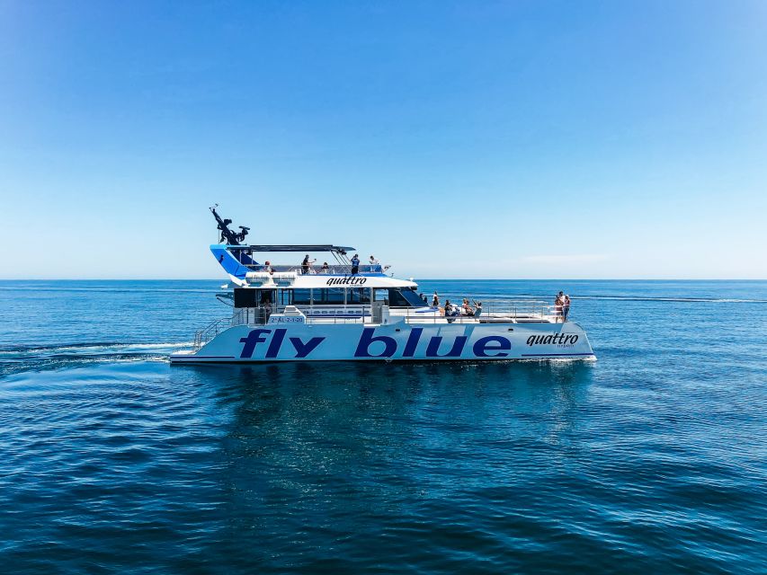 Málaga: Scenic Catamaran Cruise - Swimming and Sea Time: What to Expect Without Overpromising