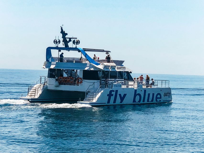 Málaga: Scenic Catamaran Cruise - Price and Value: Why $15 Feels Fair Here