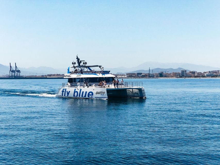 Málaga: Scenic Catamaran Cruise - Who This Cruise Is Best For (and Who Should Skip It)
