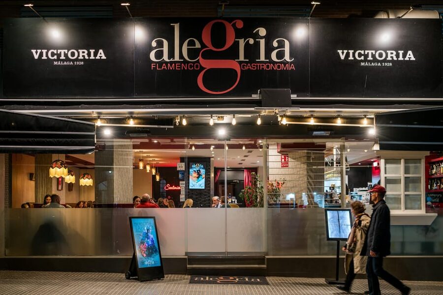 Malaga: Show and Food at Alegría Flamenco and Restaurant - Who should book Alegría, and who should skip it