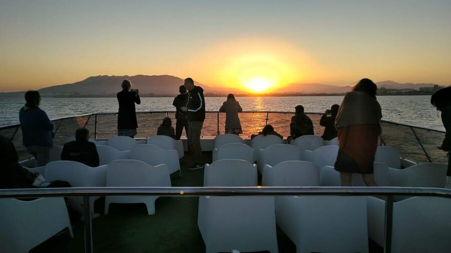 Málaga: Sunset Catamaran Trip - Comfort, Safety, and Motion: What to Know Before You Board
