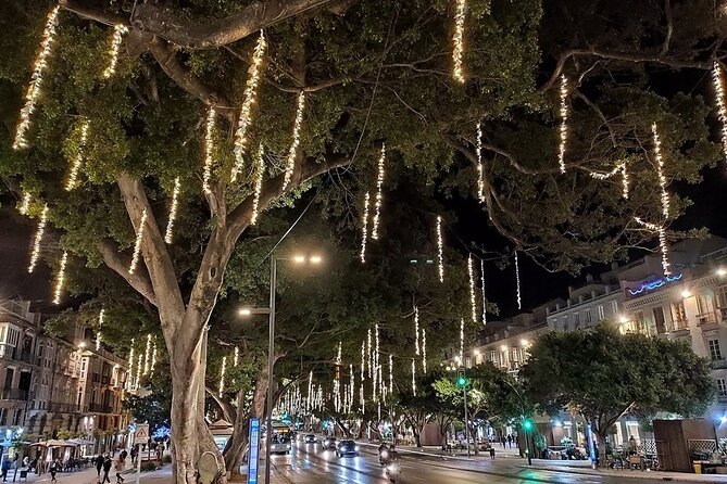 Málaga Sunset & Night Tour by Electric Car - The drive setup: what you need to know before you go