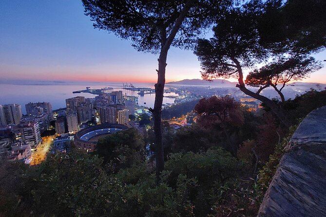 Málaga Sunset & Night Tour by Electric Car - Gibralfaro viewpoint: mansions, climbs, and the included ticket