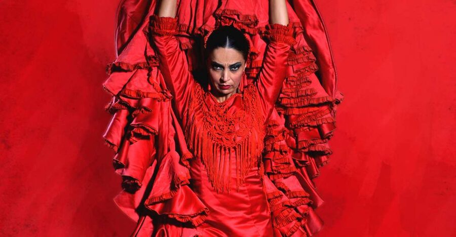 Malaga: Teatro Flamenco Malaga Live Flamenco Show - Teatro Flamenco Malaga Club: what you’re really paying for