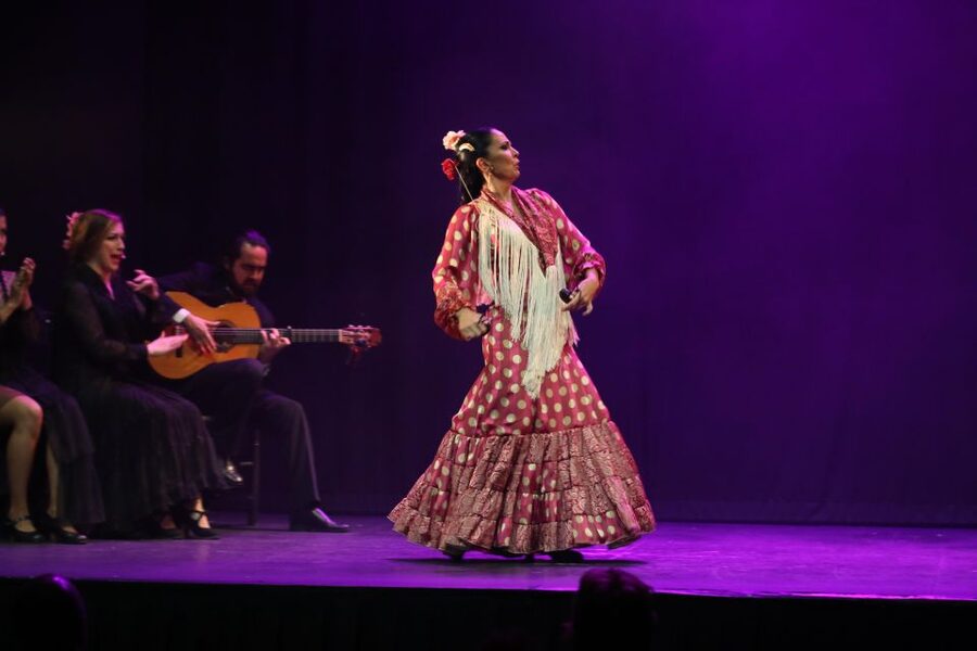 Malaga: Teatro Flamenco Malaga Live Flamenco Show - The flow of the 1-hour flamenco show