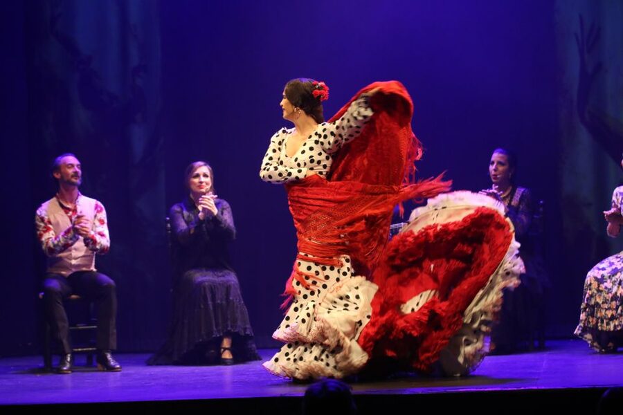 Malaga: Teatro Flamenco Malaga Live Flamenco Show - How good is the cast, really?
