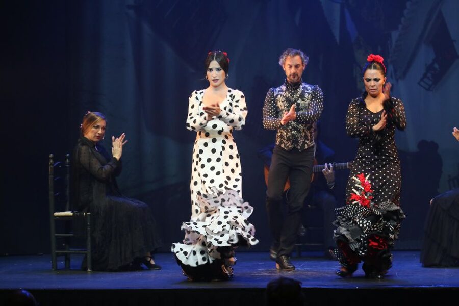 Malaga: Teatro Flamenco Malaga Live Flamenco Show - Should you book Teatro Flamenco Malaga Live Flamenco?