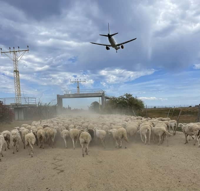 Málaga: Tour 2-Hours Solo All-Terrain Quad Adventure - Photo stops and the guide’s coaching in the moment
