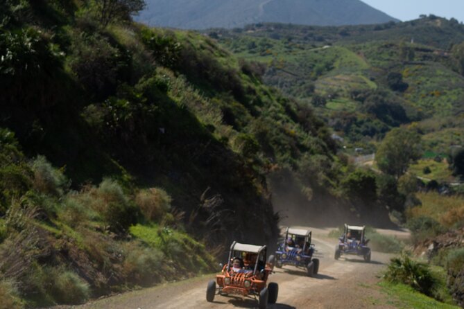 Málaga: Tour guiado en Buggy 4x4 por Mijas (2 o 4 plazas) 1h - What you’ll see: groves of almond, olive, lemon, and orange