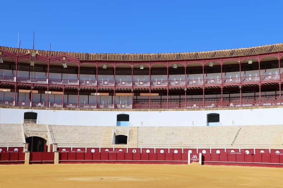 Malaga: Tour of Malagueta Bullring & Immersive Exhibition - Key highlights you’ll actually care about