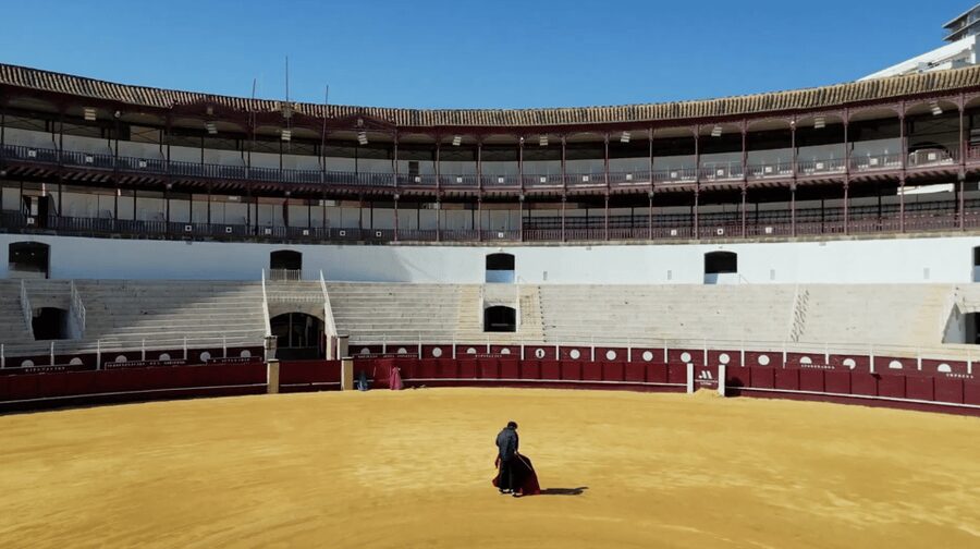 Malaga: Tour of Malagueta Bullring & Immersive Exhibition - Malagueta Bullring: a tech-forward look at a very old spectacle