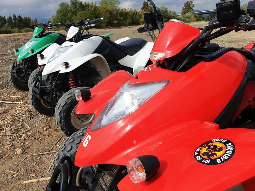Málaga: Tour Off-Road 1-Hour Solo All-Terrain Quad Adventure - Wildlife Stops Around Málaga: Animals You Might Actually Spot
