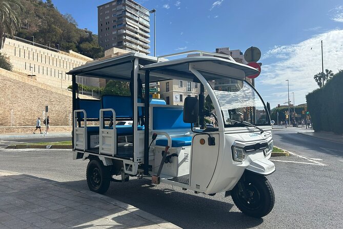 Malaga: Tuk tuk tour - A Small-Group Tuk Tuk Tour That Gives You Bearings Fast