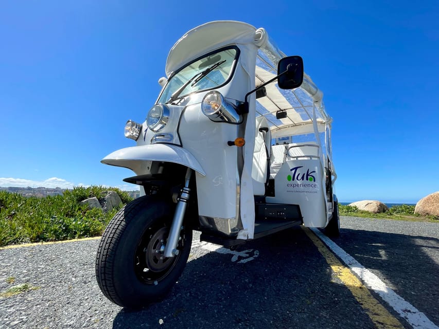 Malaga: VIP private Tuk Tuk tour - Who Should Book This Tour (and Who Should Skip It)