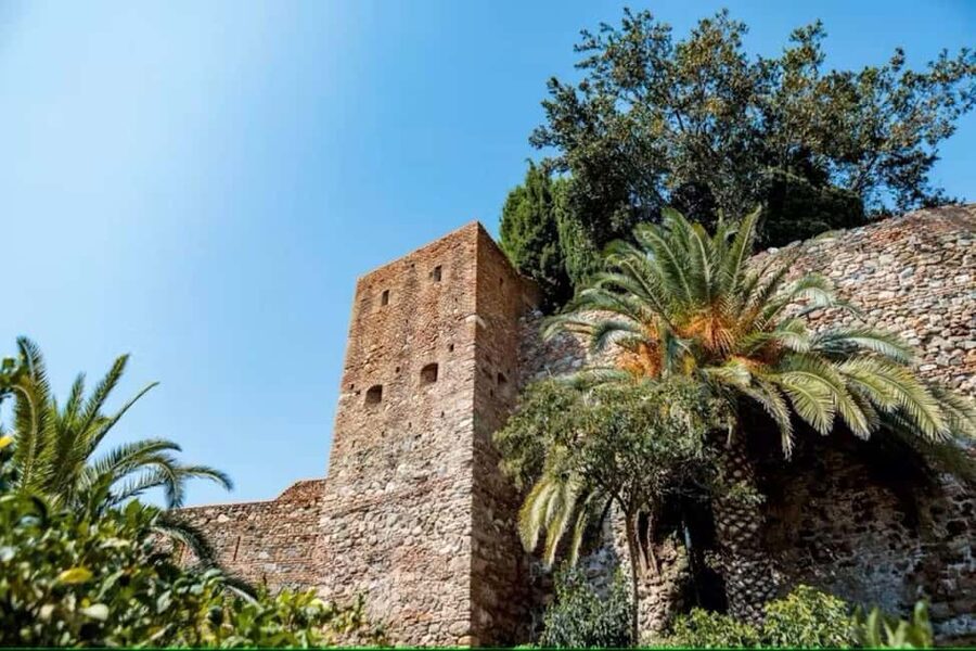 Malaga Walking Tour with Gibralfaro Castle & Alcazaba Visits - Harbor district walk: the Malaga you’ll remember after the fortresses