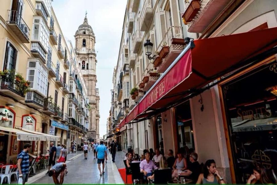 Malaga Walking Tour with Gibralfaro Castle & Alcazaba Visits - Pace, comfort, and who this tour fits best
