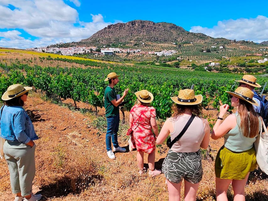 Malaga: White Village, Vineyard, and Wine Tasting Wine Tour - Álora on Foot: Museum, Church, and the Muslim Castle