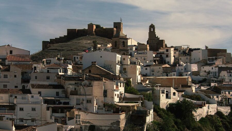 Malaga: White Village, Vineyard, and Wine Tasting Wine Tour - Tips That Make This Day Smoother (and More Fun)