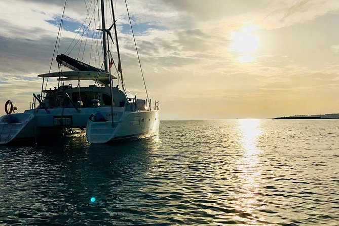 Marbella Small Group Catamaran with Dolphin Watching - The sailing stretch: how dolphin watching works here