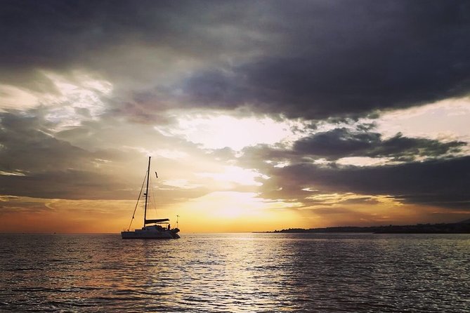 Marbella Small Group Catamaran with Dolphin Watching - The real value behind the $108.02 price tag
