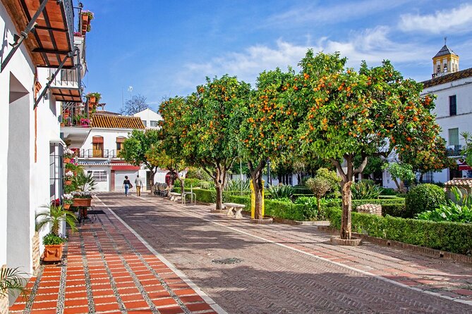 Mijas and Marbella Tour from Malaga - Inside CAC Mijas: guided art tour plus tasting