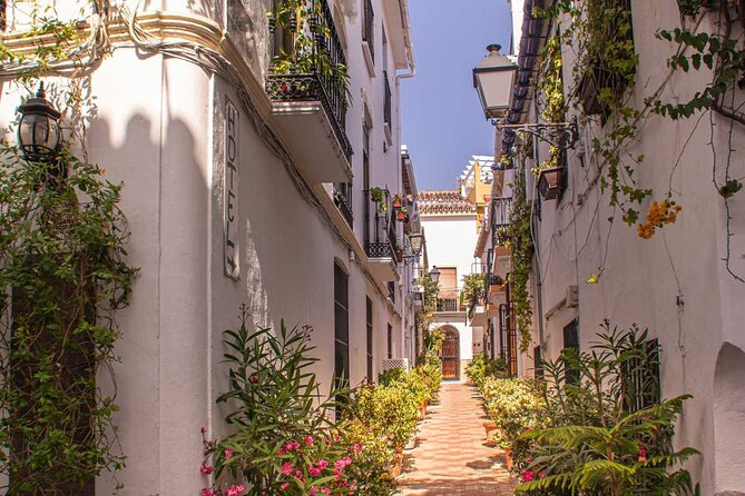 Mijas and Marbella Tour from Malaga - Lunch and snack strategy (since lunch is not included)