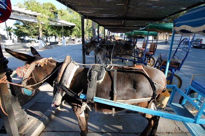 Mijas Private Walking Tour - A few practical tips to make your Mijas time smoother