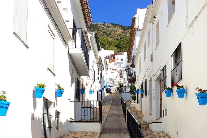 Mijas Pueblo group walking Tour - Ermita de San Sebastián and the flamenco possibility